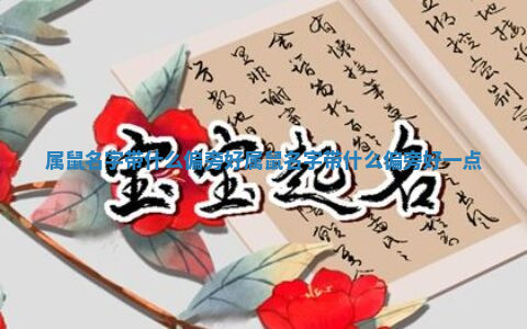 属鼠名字带什么偏旁好_属鼠名字带什么偏旁好一点