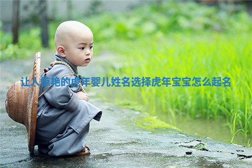 让人惊艳的虎年婴儿姓名选择_虎年宝宝怎么起名